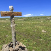 IMG 5693