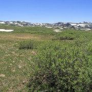 IMG 5696