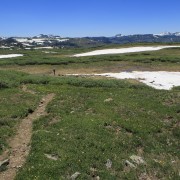 IMG 5730