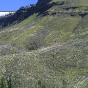 IMG 5756