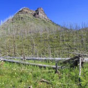 IMG 5758