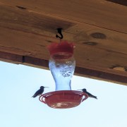 IMG 5769