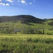 IMG 5779