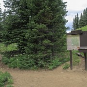 IMG 5797