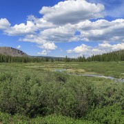 IMG 5886