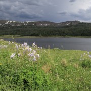 IMG 5898