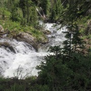 IMG 5978